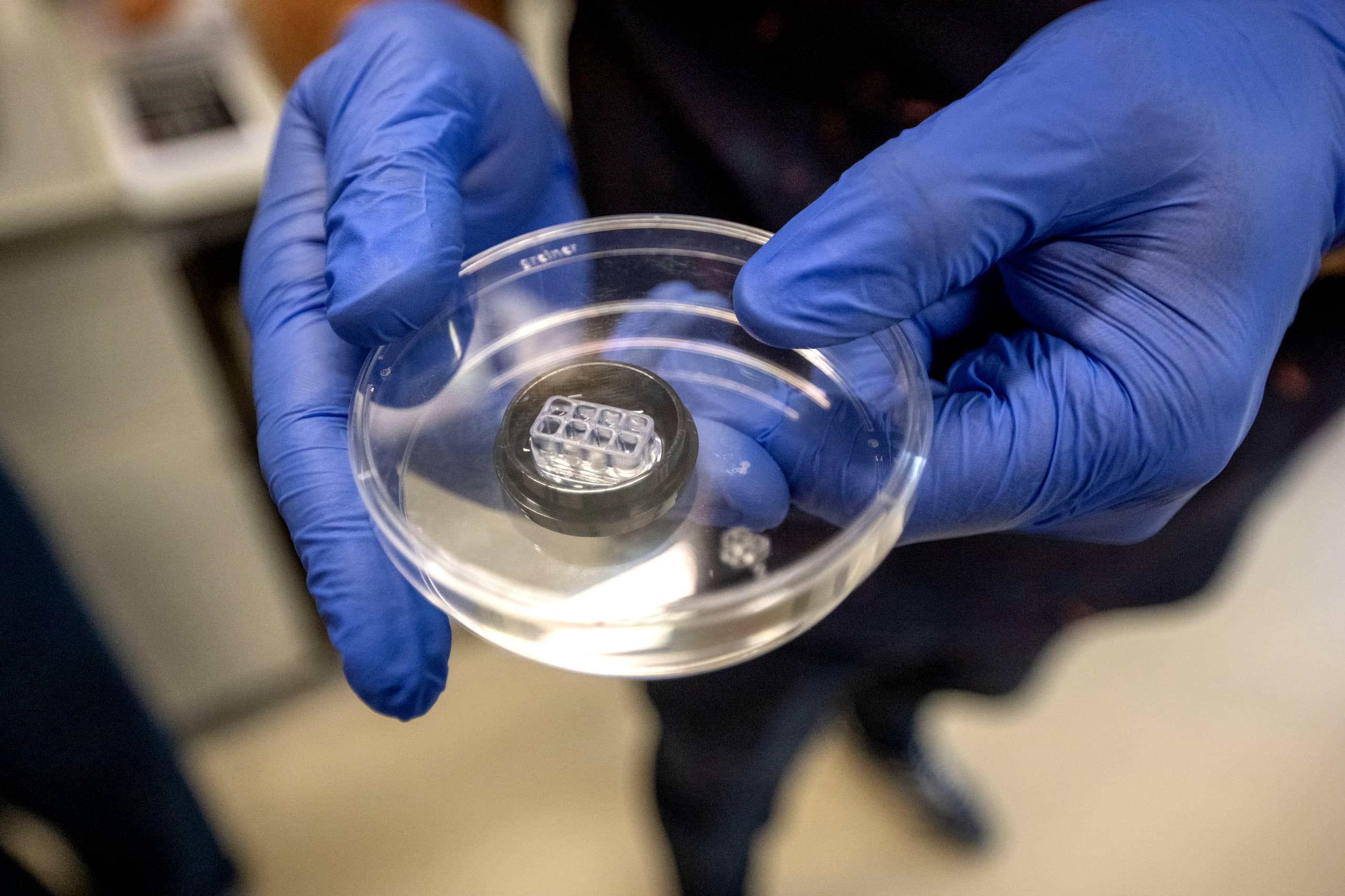 Petri dish with 3D brain model of human cells